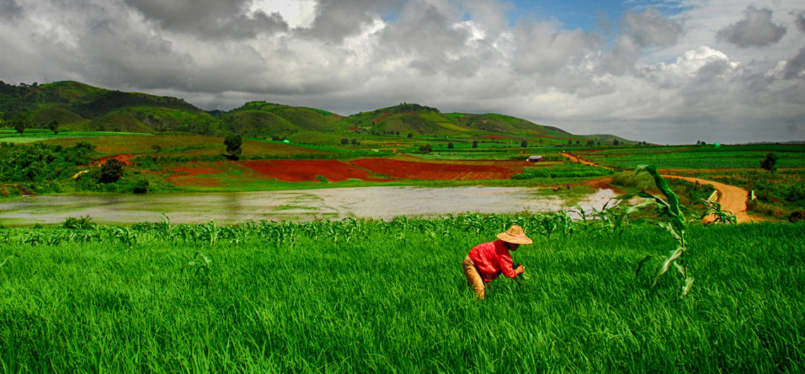 Festival Myanmar