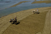 Chindwin River Cruise